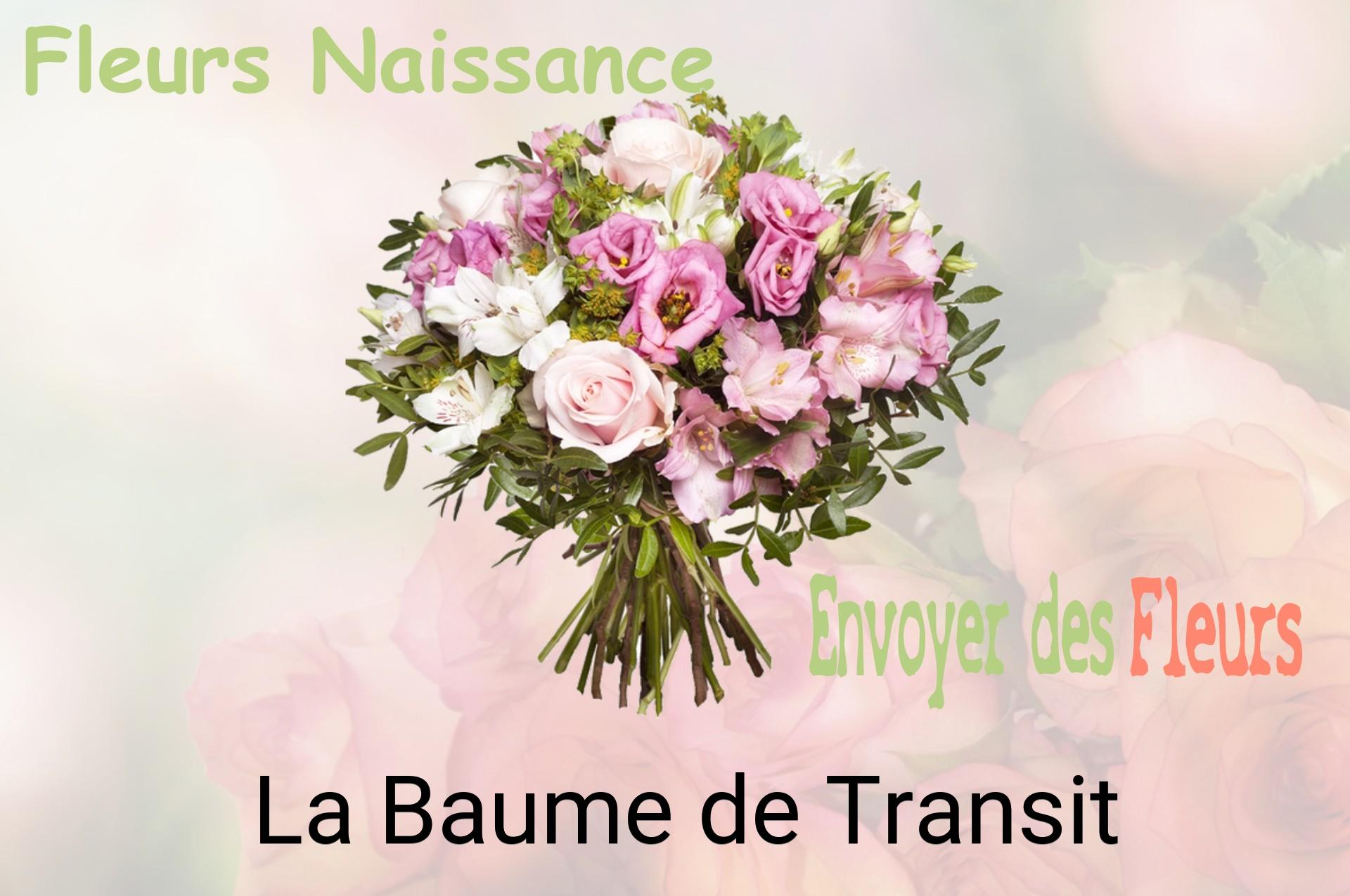 Bouquet de fleurs de naissance livré à La Baume-de-Transit